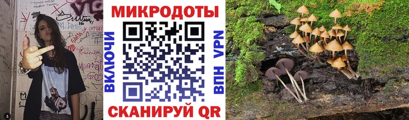 Галлюциногенные грибы Cubensis  Спасск-Рязанский 